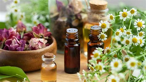 Curso Gratuito De Aromaterapia Aprende A Usar Aceites Esenciales Para