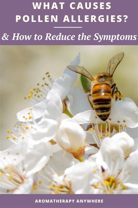 Knowing What Causes Pollen Allergies Is The Key To Being Able To