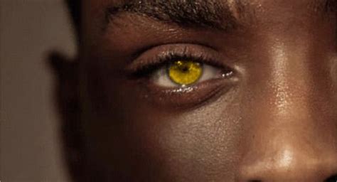 Gold Eyes Gold Eyes Eyes Golden Eyes