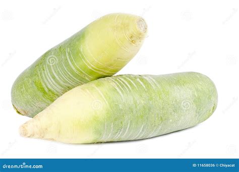 Two Green Turnips stock photo. Image of macro, healthy - 11658036