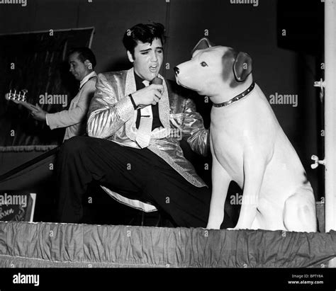 Elvis Presley Singing Hound Dog Singer And Actor 1957 Stock Photo Alamy