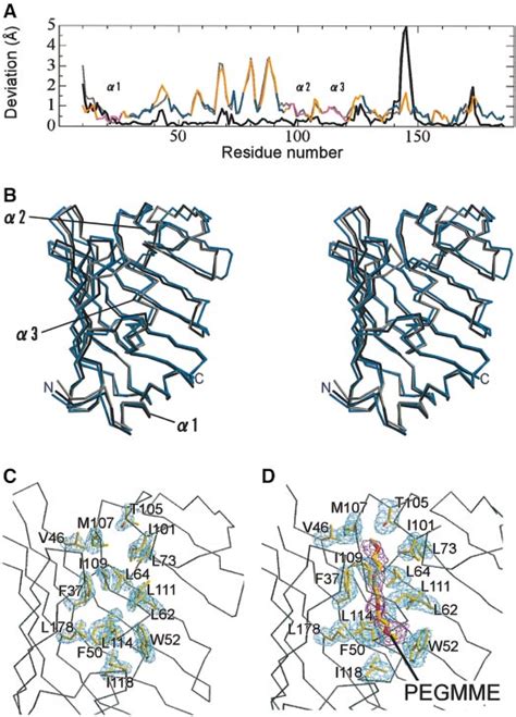 Structural Deviation Of Lolb A The Positional Deviations Of C A