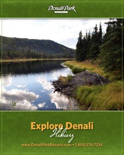 Explore Denali Hiking - Denali Park Resorts