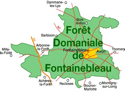 Forêt de Fontainebleau située en Seine et Marne département 77300