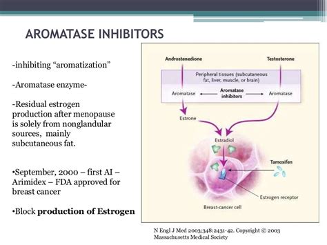 Hormonal therapy in breast cancer