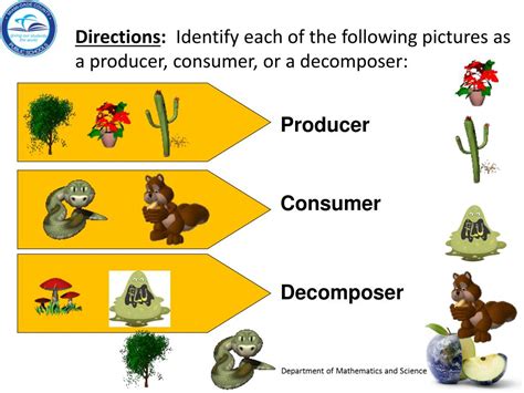 Producer Consumer Decomposer Ppt