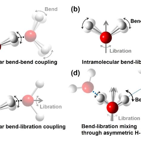 PDF Vibrational Couplings And Energy Transfer Pathways Of Waters