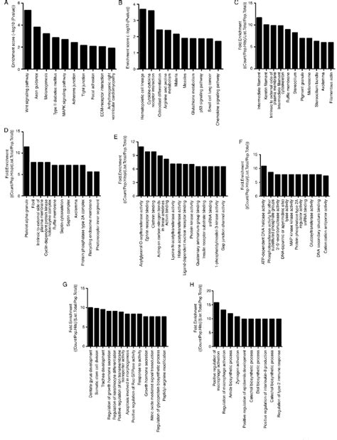 Figure From All Trans Retinoic Acid Alters The Expression Of The