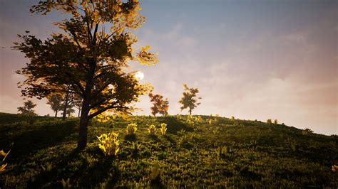 Broadleaf Forest Pack in Environments - UE Marketplace