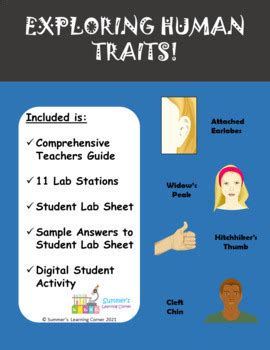 Exploring Human Traits - Genetics by Summer's Science Learning Corner