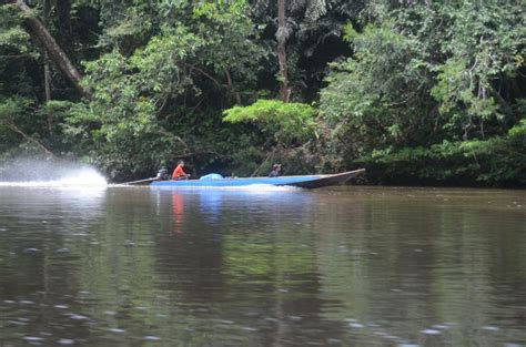 6 Fakta Taman Nasional Kayan Mentarang