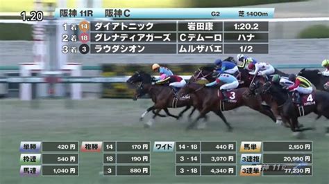 【1224 阪神cほか】阪神ダイジェストjraレース結果 競馬動画 Netkeiba