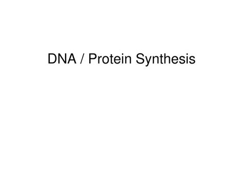 Ppt Dna Protein Synthesis Powerpoint Presentation Free Download Id 6059686