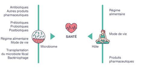 The Link Between Microbiome And Human Health ADARE Biome