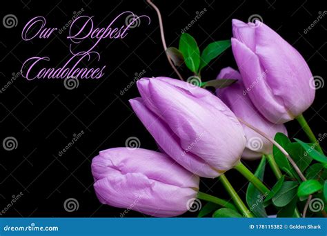 Condolences Royalty Free Stock Photo 27990687