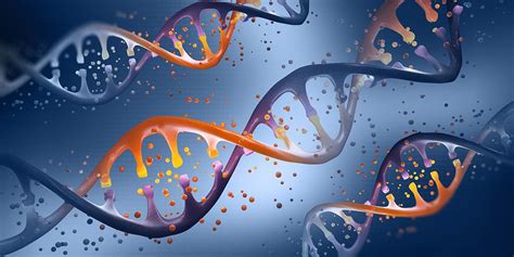 PPT Difference Between Biotechnology And Genetic, 40% OFF