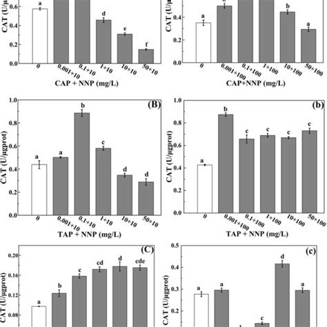 Immobilization Of Daphnia Magna Exposed To Phenicol Antibiotics And NNP