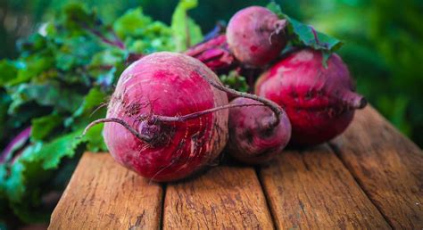 Буряк в Україні істотно подешевшав - Новини АПК | Головні фермерські ...