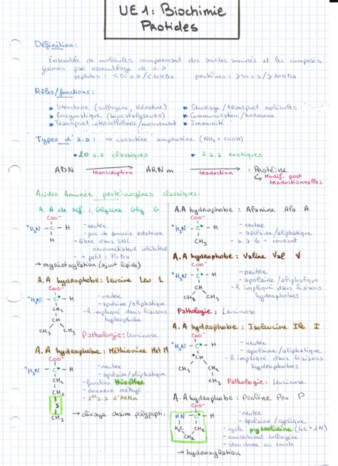 Biochimie 2e A C D En 24 Fiches 3