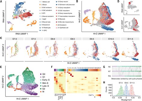 Linking Genome Structures To Functions By Simultaneous Single Cell Hi C