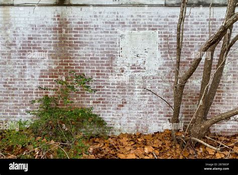 Whitewashed Brick Hi Res Stock Photography And Images Alamy