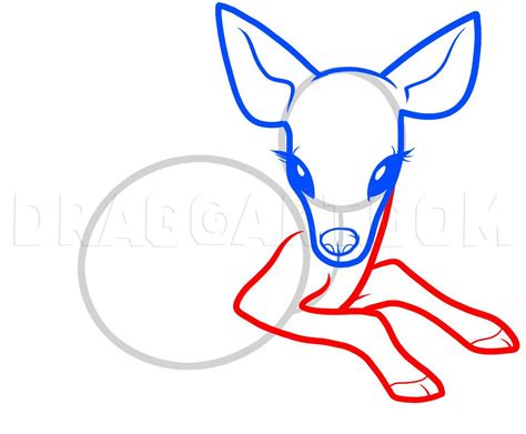 How To Draw A Baby Deer Baby Deer Step By Step Drawing Guide By