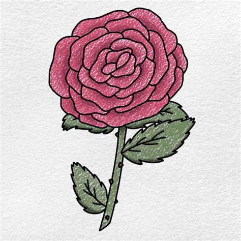 25 Easy Rose Drawing Ideas How To Draw A Rose