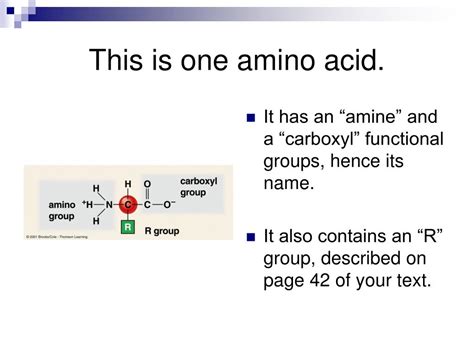 Ppt The Molecules Of Cells Powerpoint Presentation Free Download Id 1441763