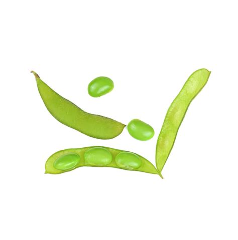 Premium Photo Edamame Beans Isolated On White Background