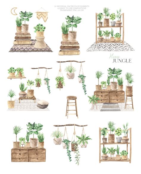 Home Jungle Boho Plants Set By Larysa Zabrotskaya Thehungryjpeg