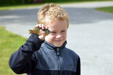 Michigan's "Other Great Lakes" hosts fishing tournament - upnorthvoice.com