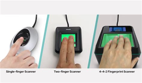 How Do Fingerprint Scanners Work? A Step-by-Step Guide for Biometric ...