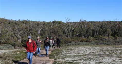 Wilderness Society My Favourite Walks Jarrah Forests Wa