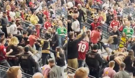 Massive Brawl Breaks Out At Nhl Game Man Punches Woman