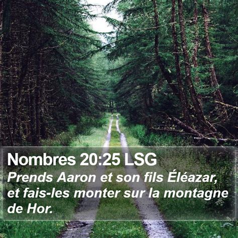 Nombres Lsg Prends Aaron Et Son Fils L Azar Et Fais Les