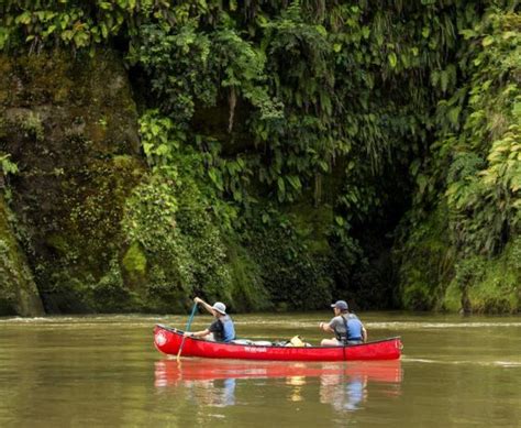 Wanganui or Whanganui things to do, activities & attractions