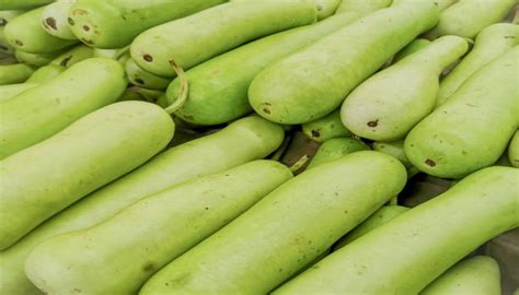 Bottle Gourd Oil For White Hair Turn Black Naturally ಬಿಳಿ ಕೂದಲಿಗೆ ಸೋರೆಕಾಯಿ ಎಣ್ಣೆ ಹಚ್ಚಿದರೆ