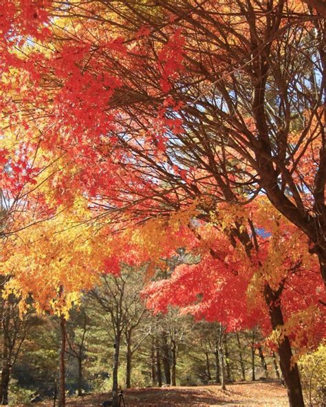 撮影スポット4～永遠（とわ）の鐘～ 信州みやだ観光ガイド 長野県宮田村・木曽駒ヶ岳の観光情報サイト