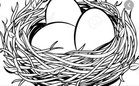 Clipart of a Black and White Bird Nest on a Branch - Royalty Free ...