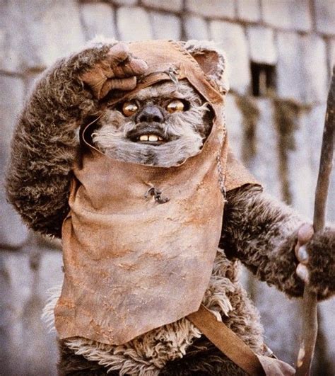 Ewok On The Look Out Star Wars Star Wars Fans Star Wars Art Ewok