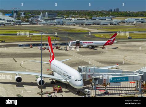 Loading Qantas freight and passenger jets at Sydney (Kingsford Smith ...