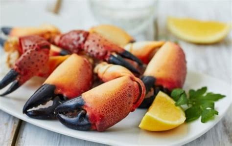 What To Serve With Stone Crab Claws Best Side Dishes