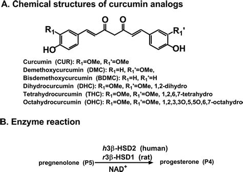 Chemical Structures Of Curcumin Analogues And Reaction Of Download Scientific Diagram