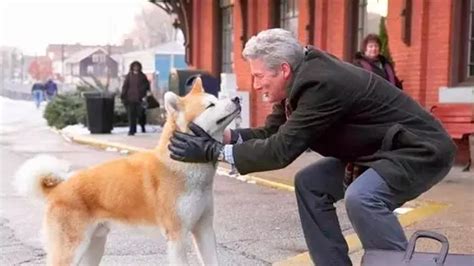 Hachiko Bir K Pe In Hikayesi Filmi Ger Ek Mi Hachiko Bir K Pe In