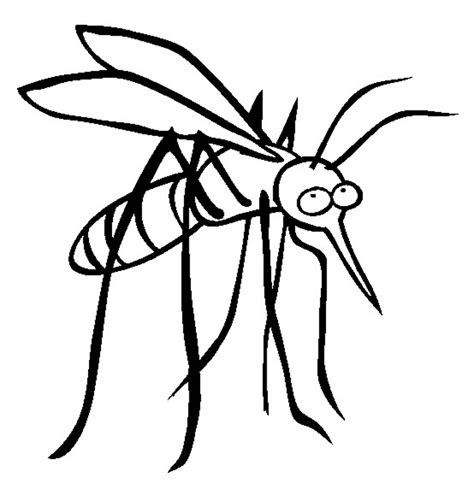 32 páginas para colorear de mosquitos ColoringPagesOnly