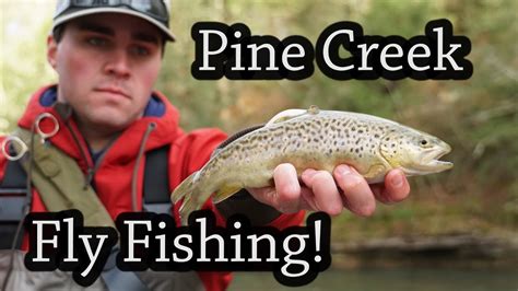 Pine Creek Fly Fishing Pennsylvania 2018 Youtube