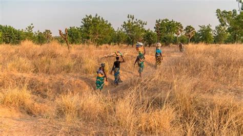 Togo La Situation S Curitaire Dans La R Gion Des Savanes S Est