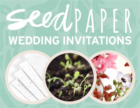 Seed Paper Wedding Invitations | Catalog | Botanical PaperWorks