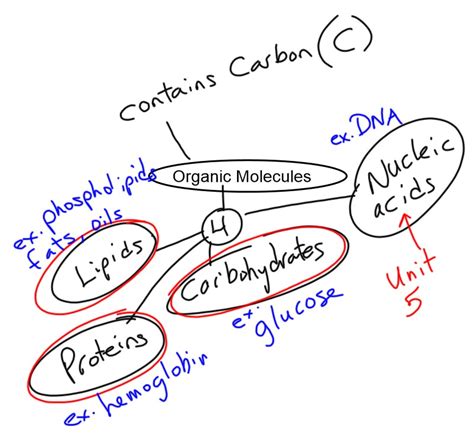 Organic Molecules - Mel Burgess at CALC