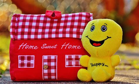 house  home smiley  photo  pixabay pixabay